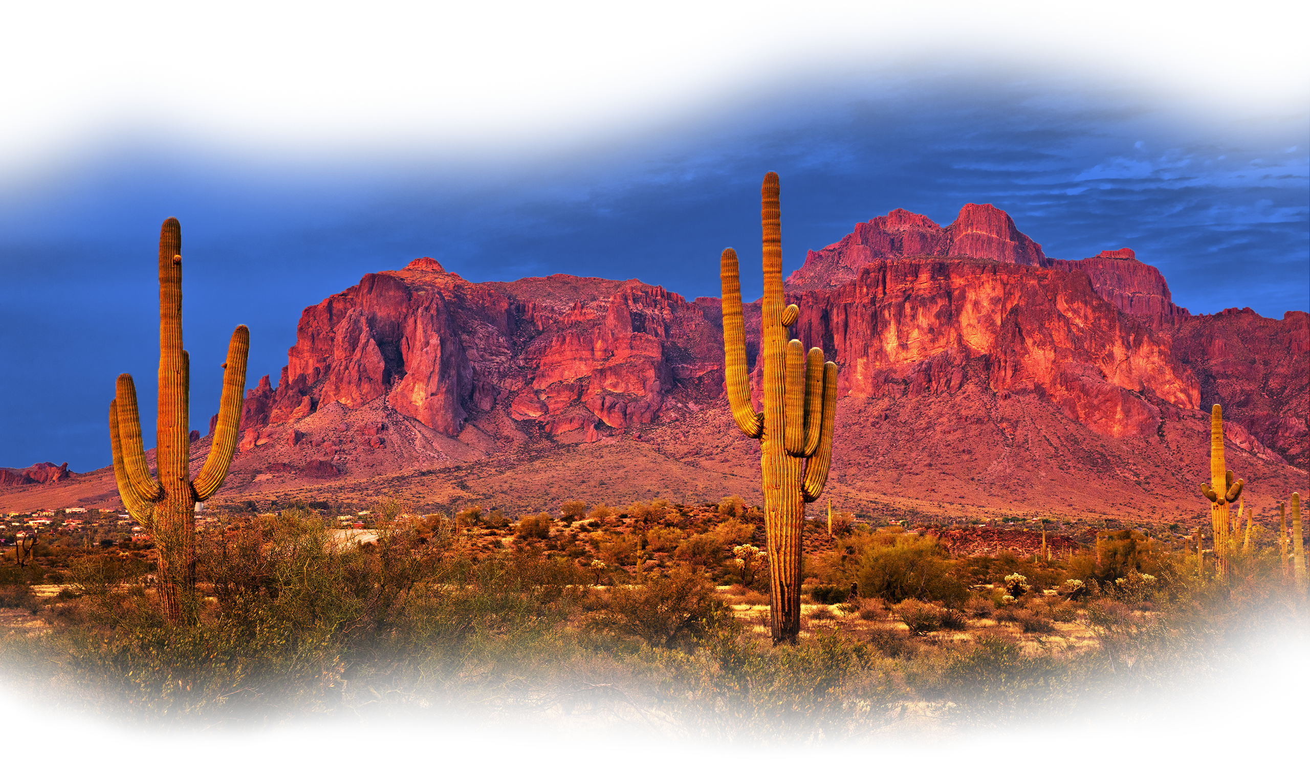 Phoenix desert scene